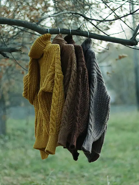 Savino Design Lab Hero Section Image